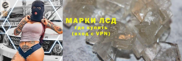 стафф Алексин