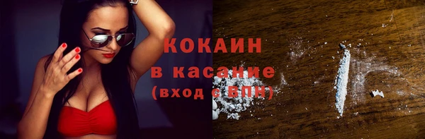 стафф Алексин