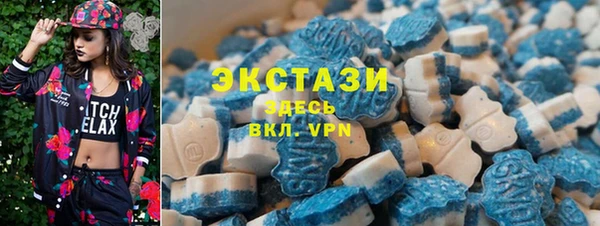 стафф Алексин