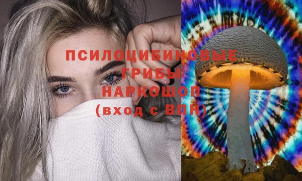 прущие грибы Алексеевка