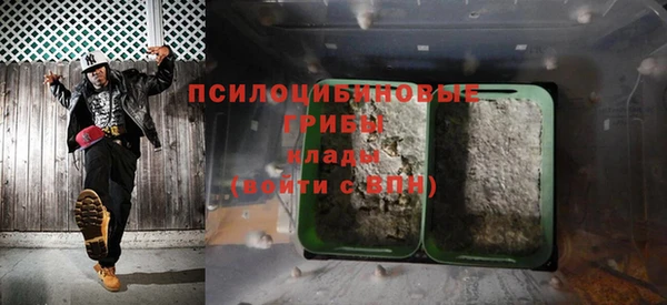 прущие грибы Алексеевка