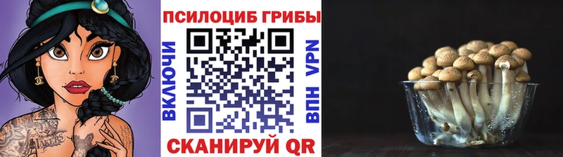 гидра зеркало  Уфа  Галлюциногенные грибы мицелий  цена  